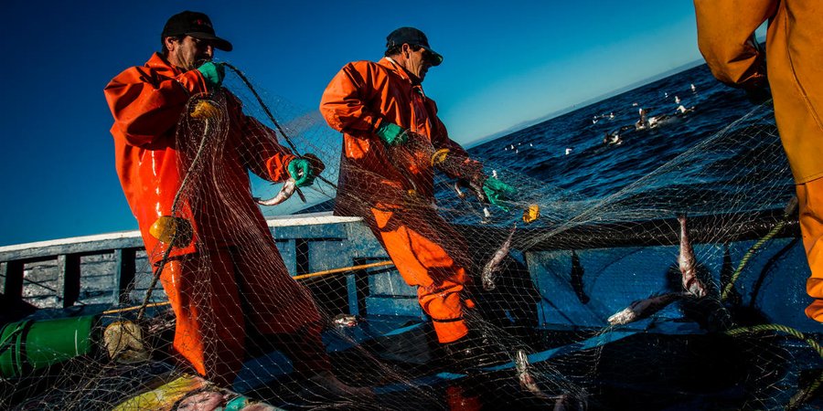 Two fishers on a boat on the water in Chile