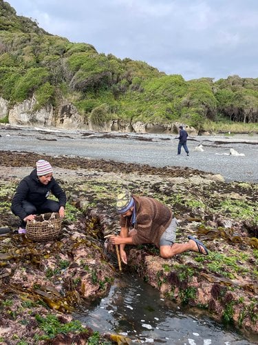 Two people forage for seaweed on a coastline in Chile
