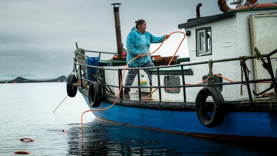 A woman on a boat pulls in a line