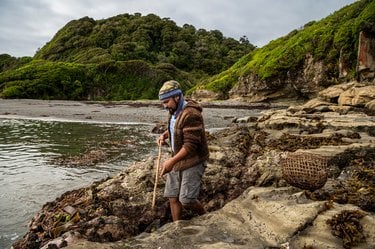 Man collects shellfish on shore