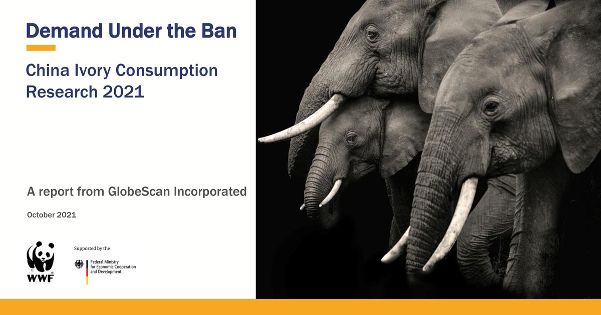 Demand Under the Ban: China Ivory Consumption Research 2021 | WWF