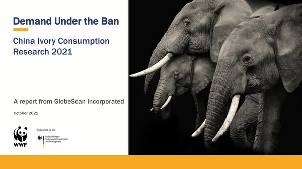 China Ivory Consumption Research title page