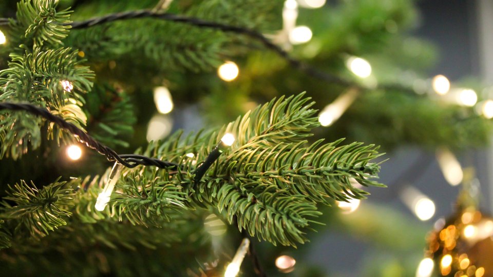 Close up of Chirstmas tree branches with white lights