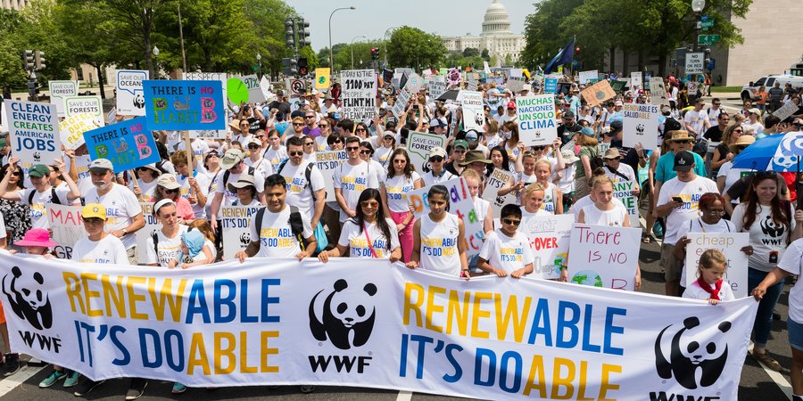 Climate march in Washington, DC
