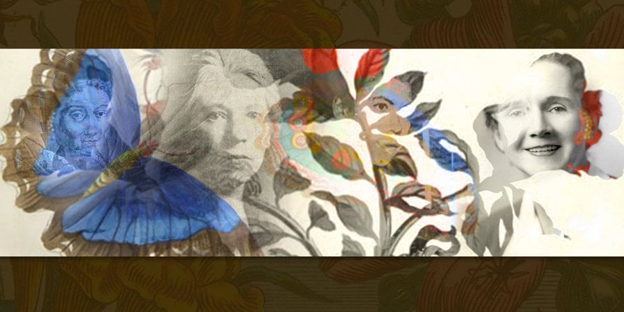 Photo illustration of plants and four women leaders in entomology