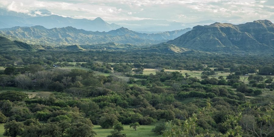 A landscape photo with green trees in the foreground, mountains in the background, and cloudy skies