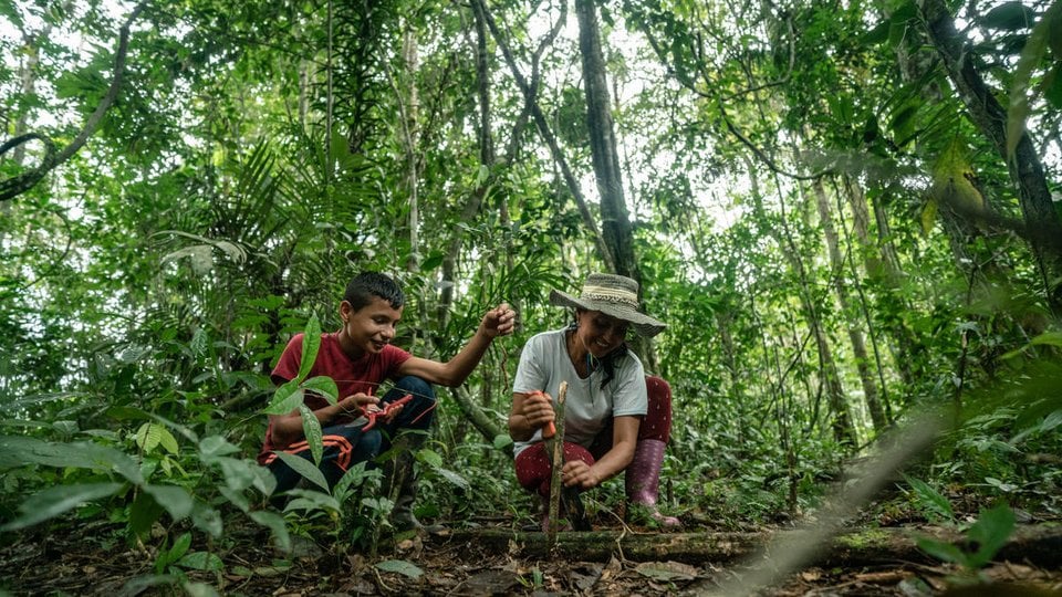 Mother and son plant tree in forested area of family farm