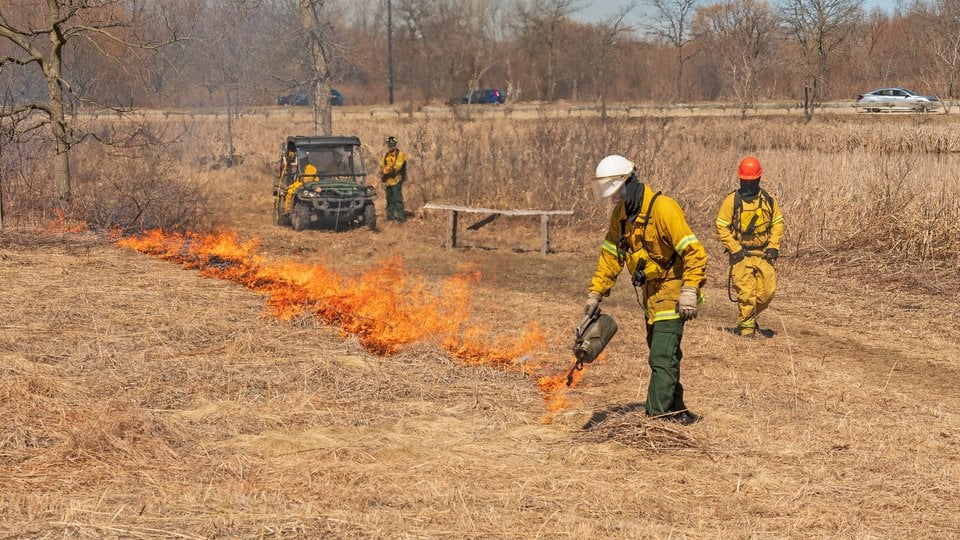 Firemen using a torch to set a controlled fire in dry grass