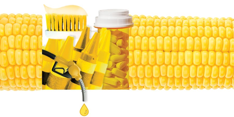Collage of corn and corn products