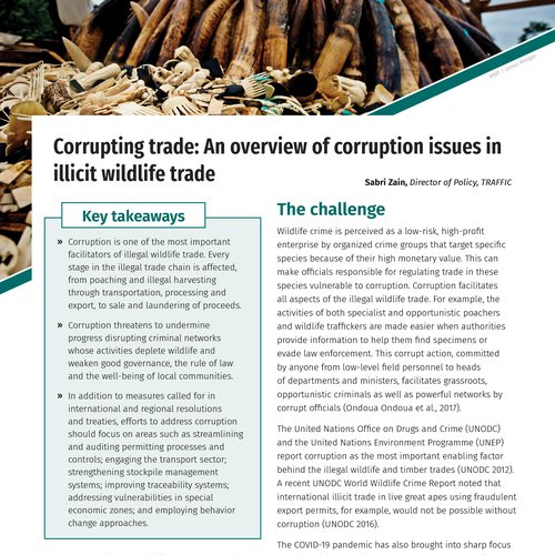 An overview of corruption issues in illicit wildlife trade | WWF