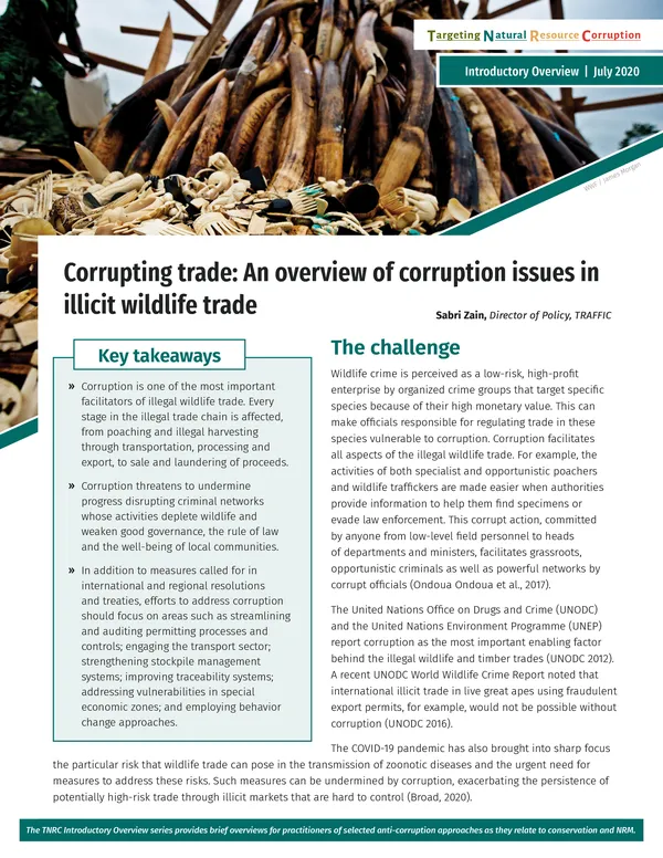 cover of Topic brief Corrupting Trade: An Overview of Corruption Issues in Illicit Wildlife Trade with image of confiscated elephant tusks