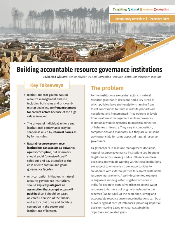 Cover of topic brief Building Accountable Resource Governance Institutions with image of deforestation and trees in background
