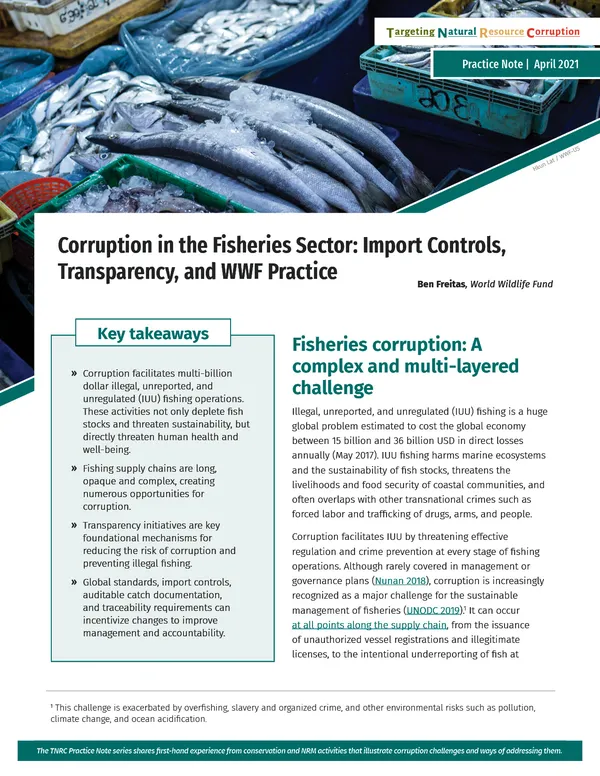 Cover image of topic brief Corruption in the Fisheries Sector: Import Controls, Transparency, and WWF Practice with picture of caught fish in bins