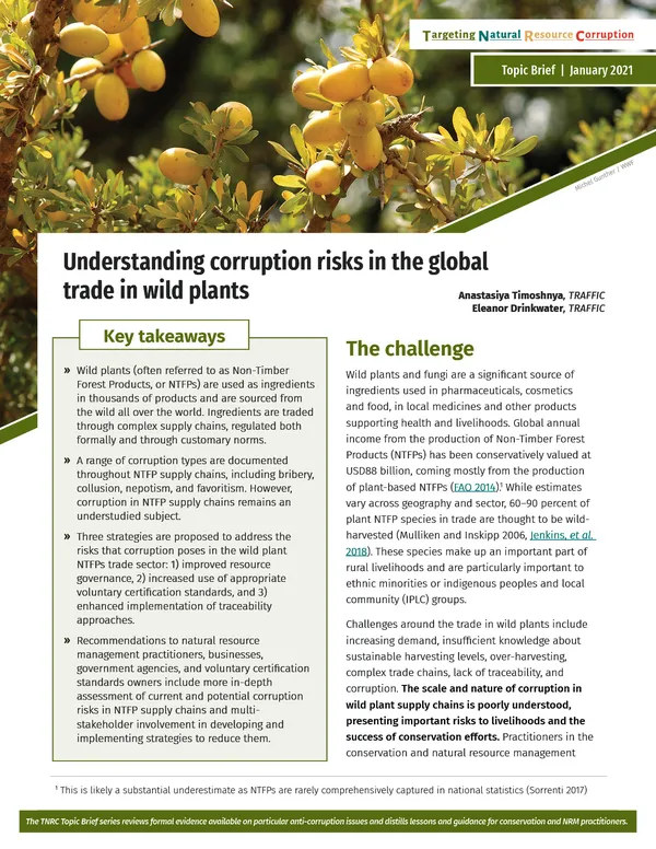 A screenshot of the page Understanding Corruption Risks in the Global Trade in Wild Plants with a top image of berries growing on a plant