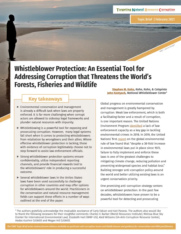 A report cover showing the main text with a banner at the top of a person standing on the shore looking out at the ocean