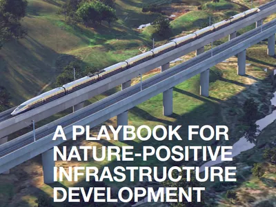 Cover image for Playbook for Nature Report showing an aerial view of a train crossing a bridge