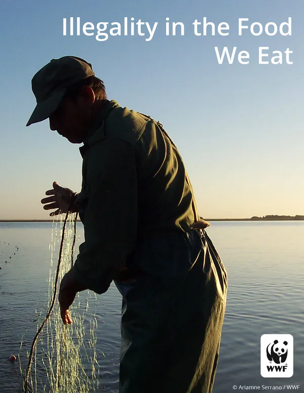 cover image of Illegality in the Food We Eat featuring fisherman with net in silhouette