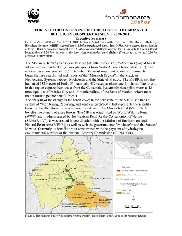 Report cover for Forest Degradation in Core Zone of Monarch Butterfly Reserve