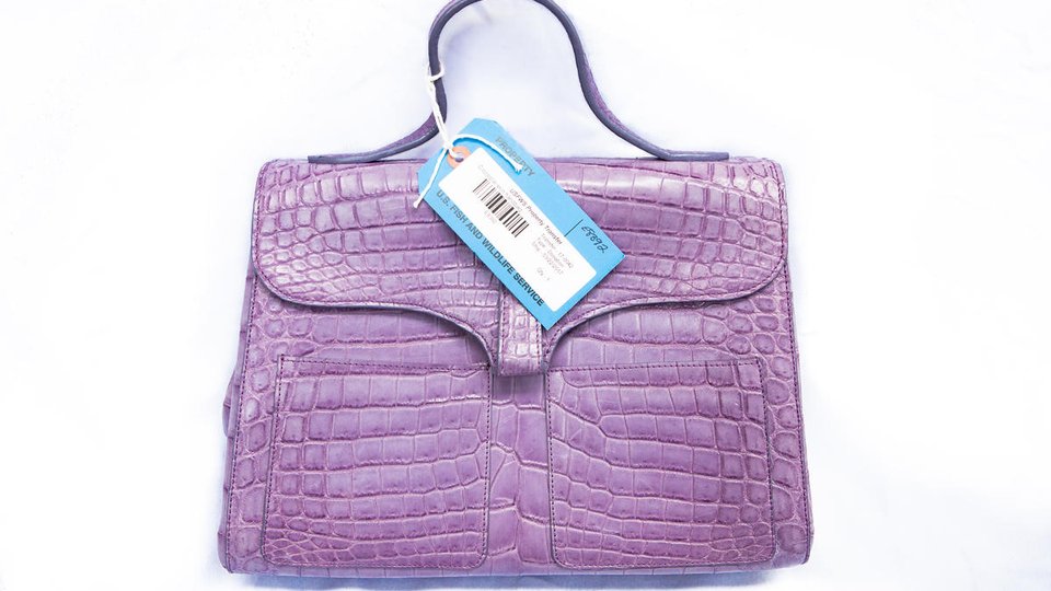 A purple bag made of crocodile skin sits on a white background