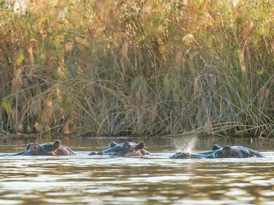 EcoTourism for Economic Livelihoods