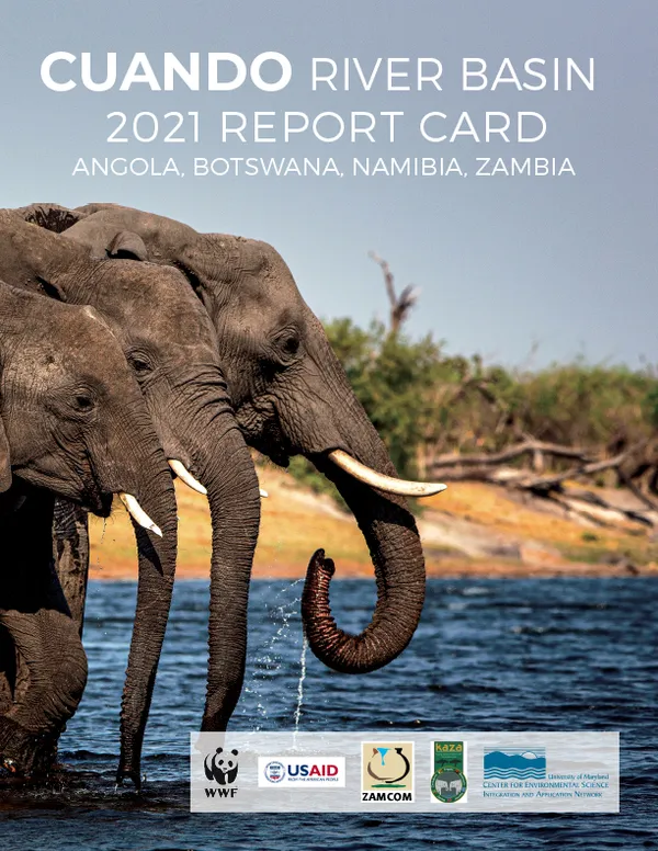 Report cover with elephants