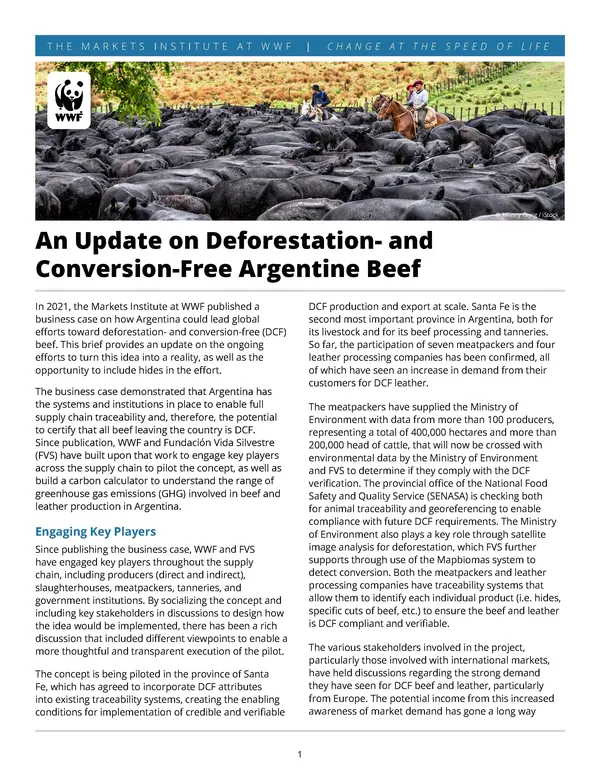 Report Cover for Update on DCF Argentine Beef