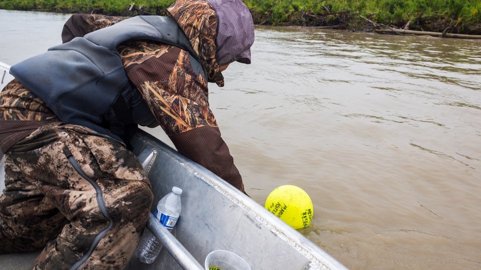Fourteen-year old Dana helps his father monitor hydrophones along the Yukon River