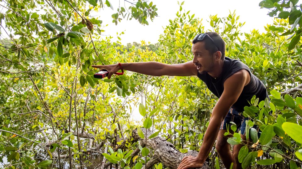 Un hombre en un bosque señala algo a lo lejos.
