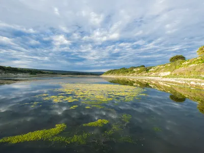 Dehoop wetland under a cloudy sky.