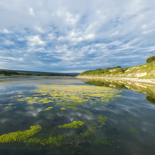 Dehoop wetland under a cloudy sky.
