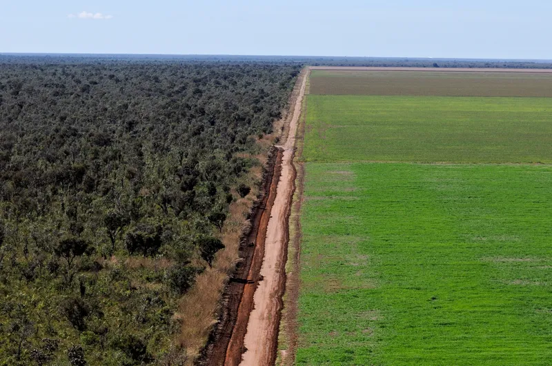 Aerial view of the Cerrado and soy monoculture, Ribeiro Gonçalves, Brazil