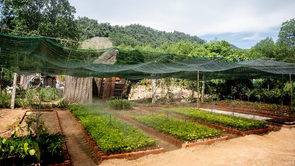 A photo showing large outdoor seedling beds covered by a green canopy for shade.
