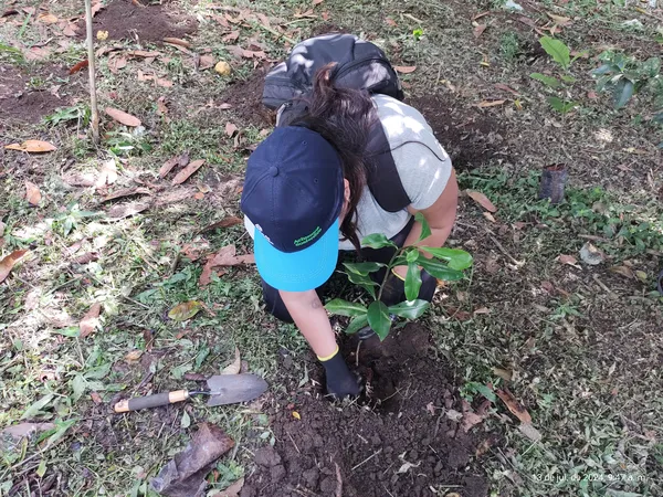 photo of person kneeling and digging dirt to plant a young tree