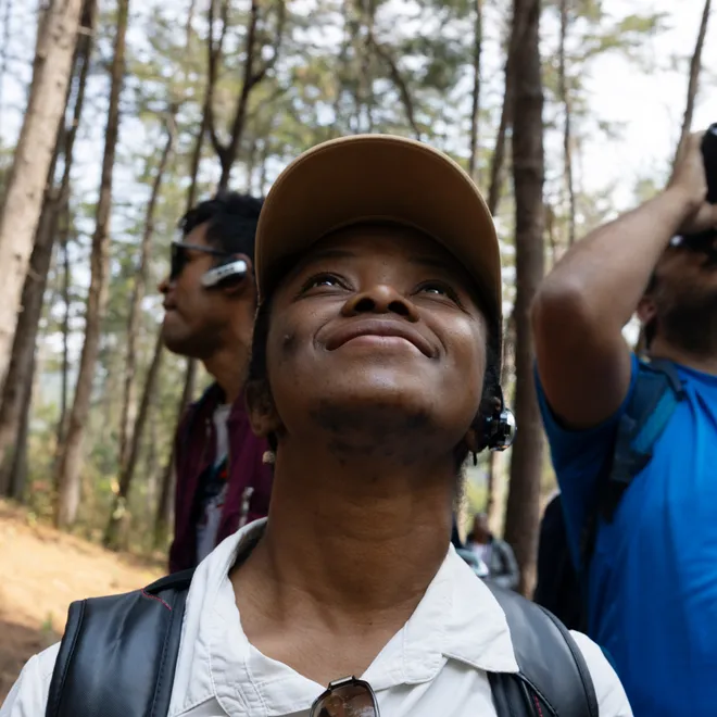 A woman smiling and looking up into forest canopy