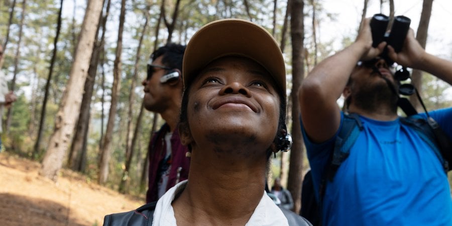Three people in the foreground looking up toward the treetops -- one with binoculars -- with a forest in the background.
