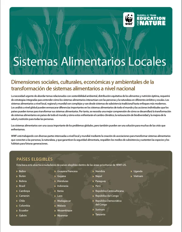 EFN Fellowship Spanish