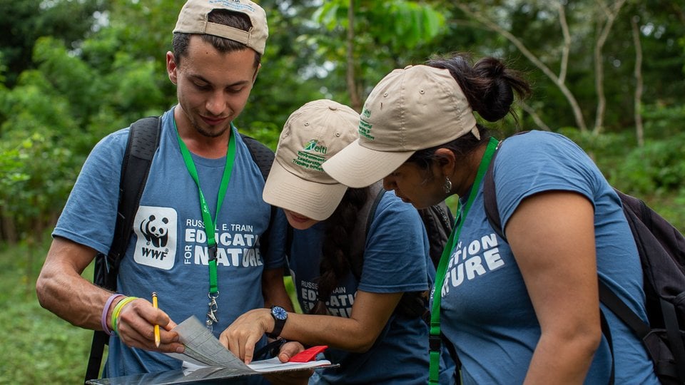 Forest restoration workshop participants review data