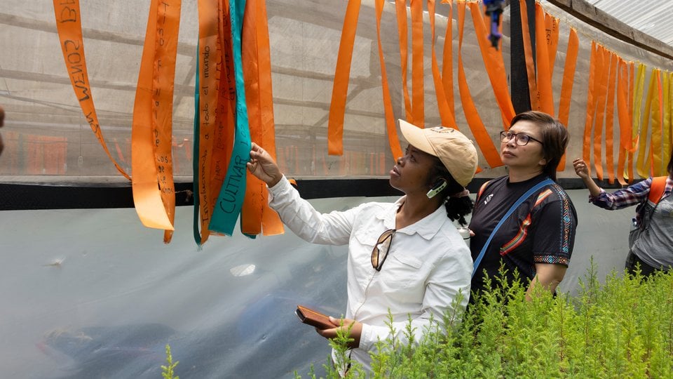 Two people looking at a wall with thin orange and turquoise flags with handwriting on them with green grass in the foreground