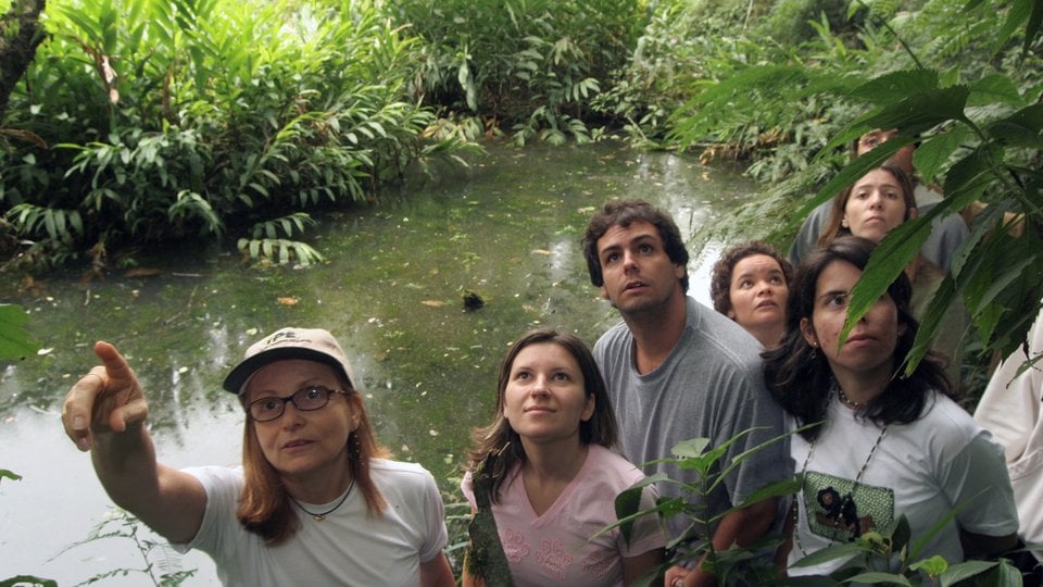 A group of people looking up in the foreground with a small pond in a green jungle in the background