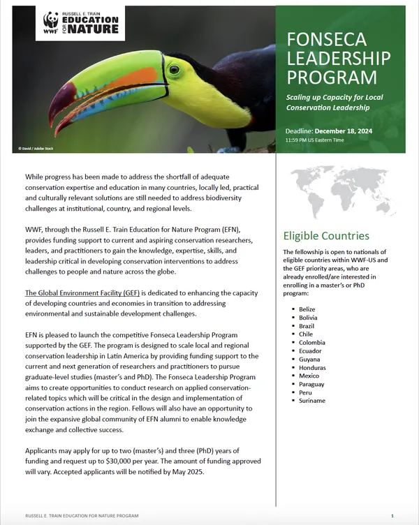 EFN Fonseca Fellowship
