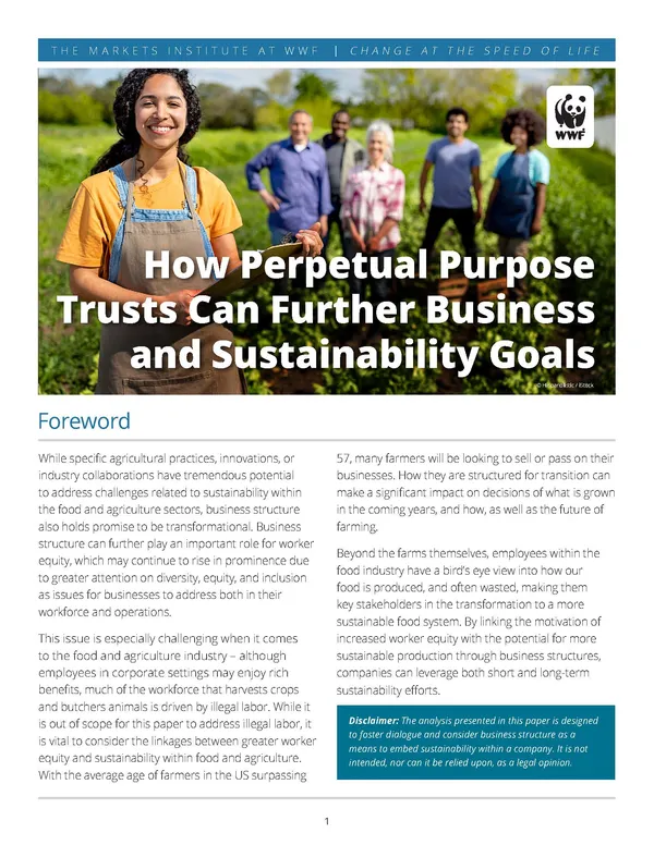 Cover image: How Perpetual Purpose Trusts Can Further Business and Sustainability Goals