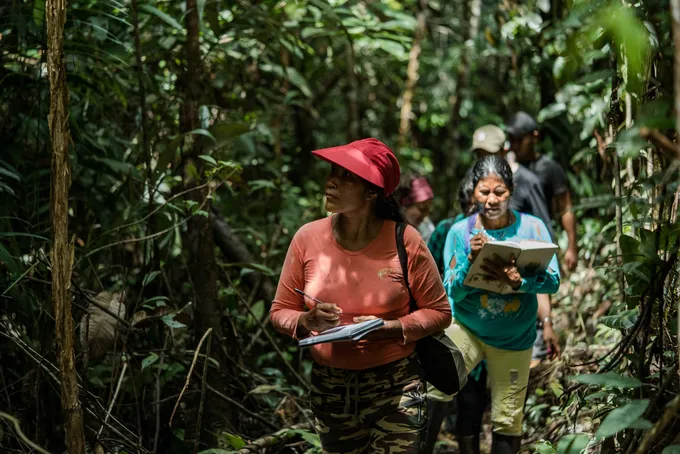 An Ecosystem Services Assessment team walks through the forest