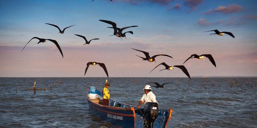 Two men drive out into the ocean in their shrimp fishing boat surrounded by sea birds flying along above them.