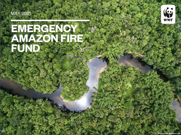 A report cover showing an aerial view of a silvery blue river flowing through vivid green forest in the Amazon