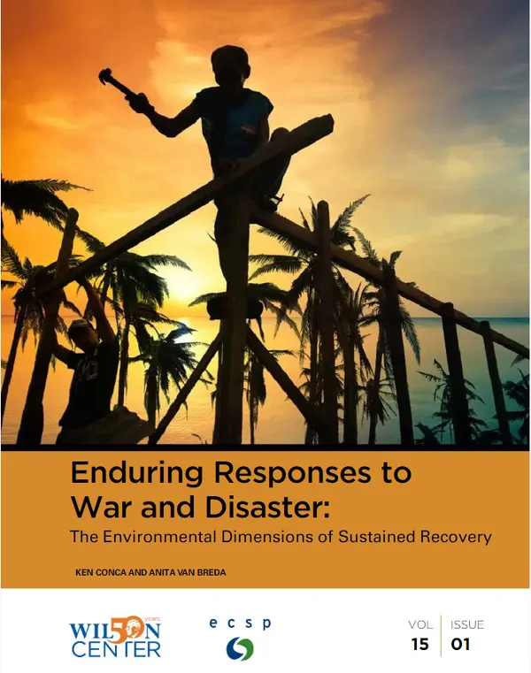 A report cover showing a silhouette of a person sitting atop a wooden structure swinging a hammer with palm trees and an orange sunset in the background