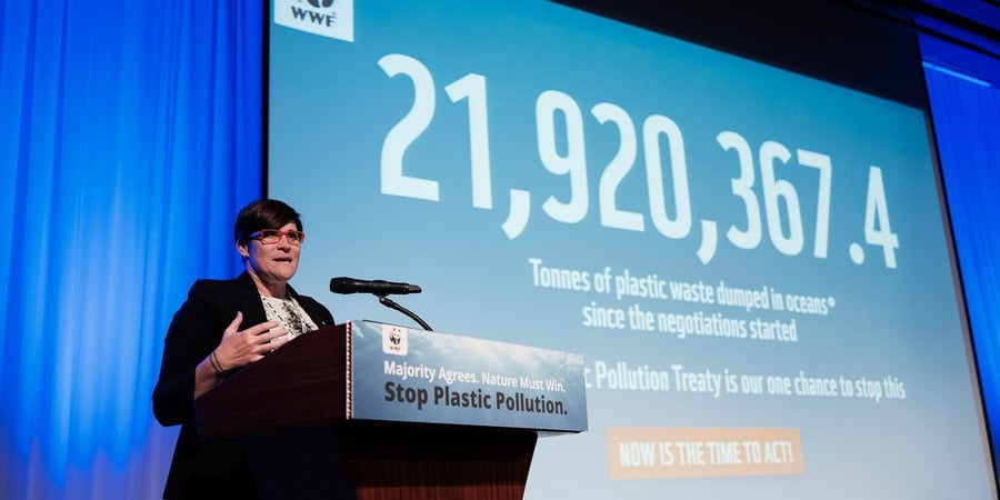 WWF's Erin Simon stands at a lectern in front of a screen that shows how much plastic has been dumped into the ocean since plastic pollution negotiations began.
