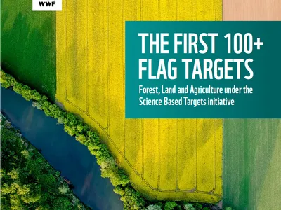 Flag report cover photo