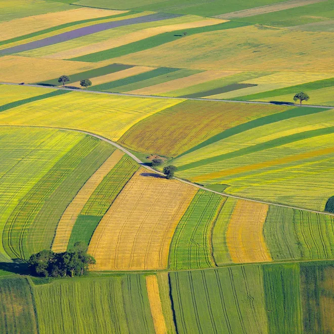 Aerial photo of cultivated fields