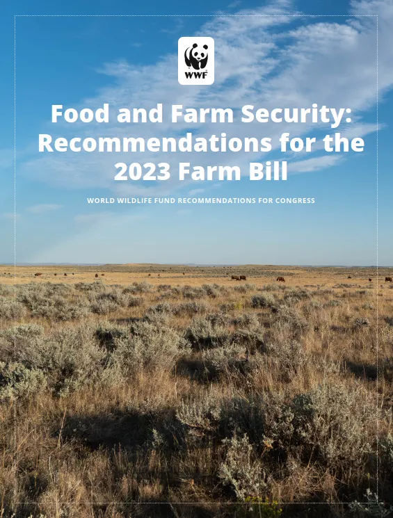 Cover of Farm Bill 2023 recommendations featuring plains and a blue sky