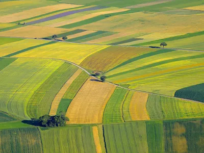 Aerial photo of cultivated fields